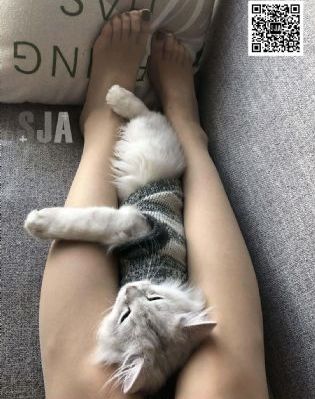 韩国主播福利视频一区二区三区_HD全集在线观看